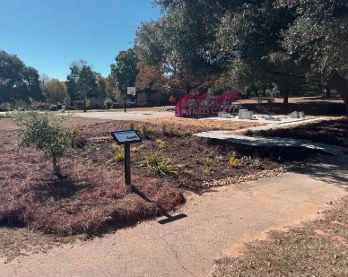 Gills Creek Watershed Association design rain garden at Rosewood Park Columbia, South Carolina